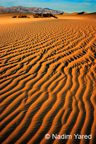 Ripples, Death Valley, CA, USA