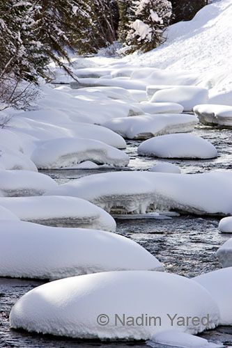 Snow on Elk River, Steamboat Springs, Colorado