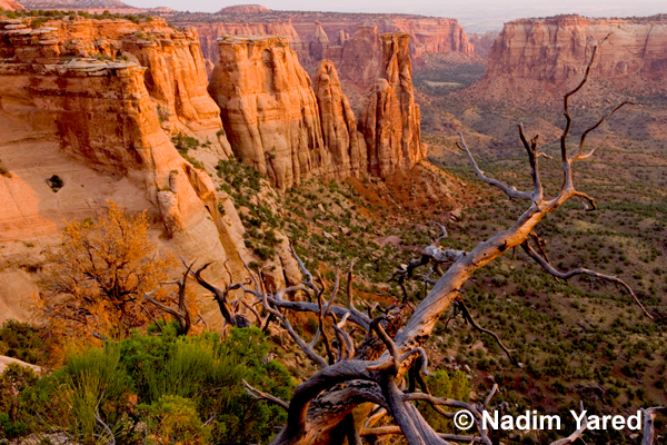 Colorado National Monument, Fruite, Colorado, USA