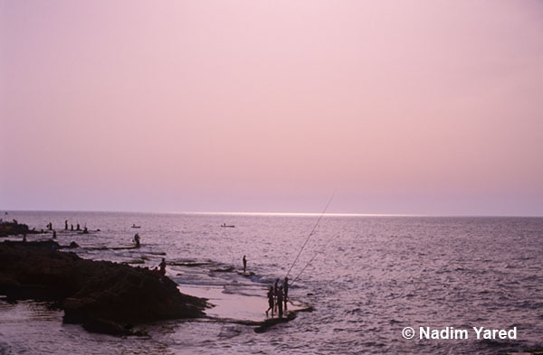 Fisherman, Raouche, Beirut, Lebanon