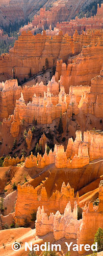 Bryce Canyon, UT