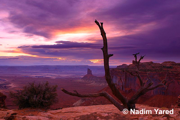 Canyonland National Park, Moab, Utah, USA