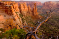 Colorado National Monument