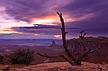 Canyonland National Park, Moab, Utah, USA